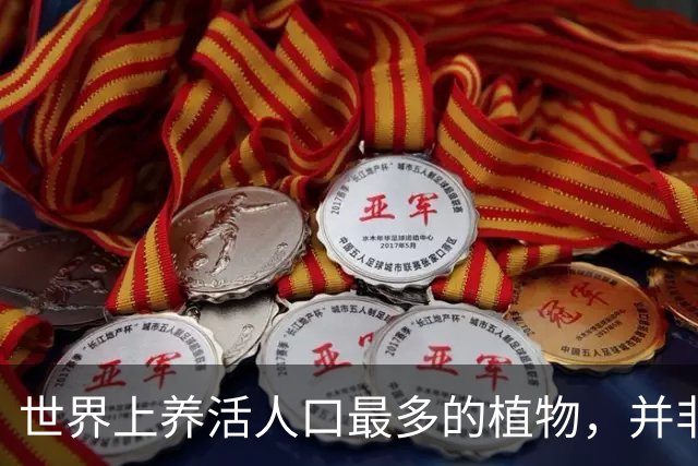 世界上养活人口最多的植物，并非小麦和玉米，而是来自亚洲的奇迹